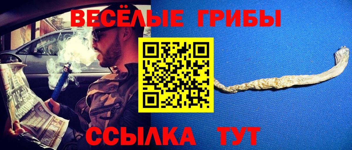 Галлюциногенные грибы мицелий Солнечногорск