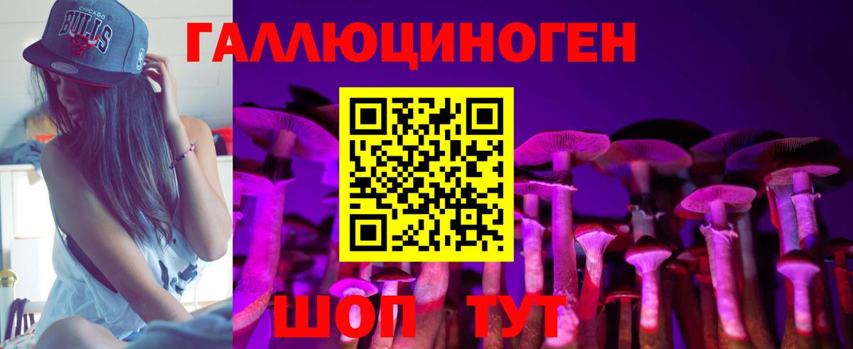 Галлюциногенные грибы GOLDEN TEACHER  Вход с VPN  Солнечногорск 